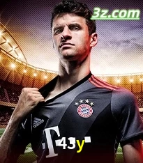 apostas esportivas e cassino